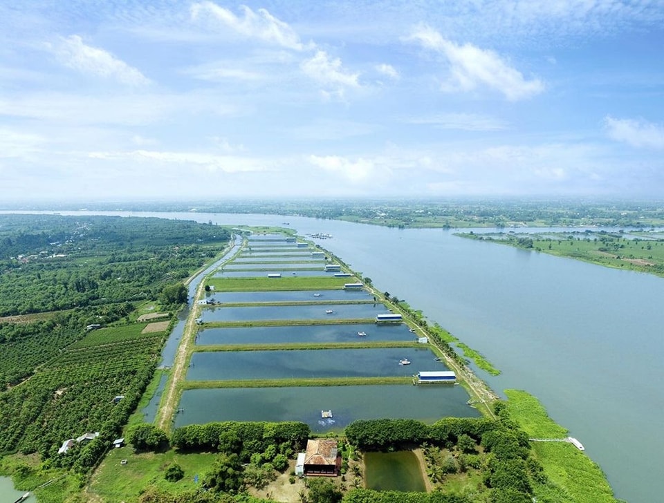 Về Chúng tôi 