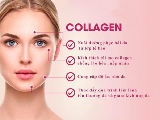 Collagen là gì và nó tốt như thế nào?